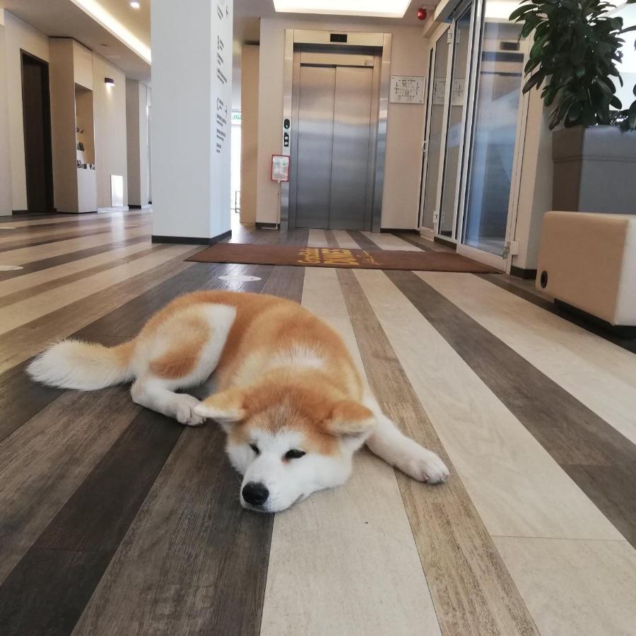 แกรนด์บอลติกดูนส์ Hotel พาลังกา ภายนอก รูปภาพ